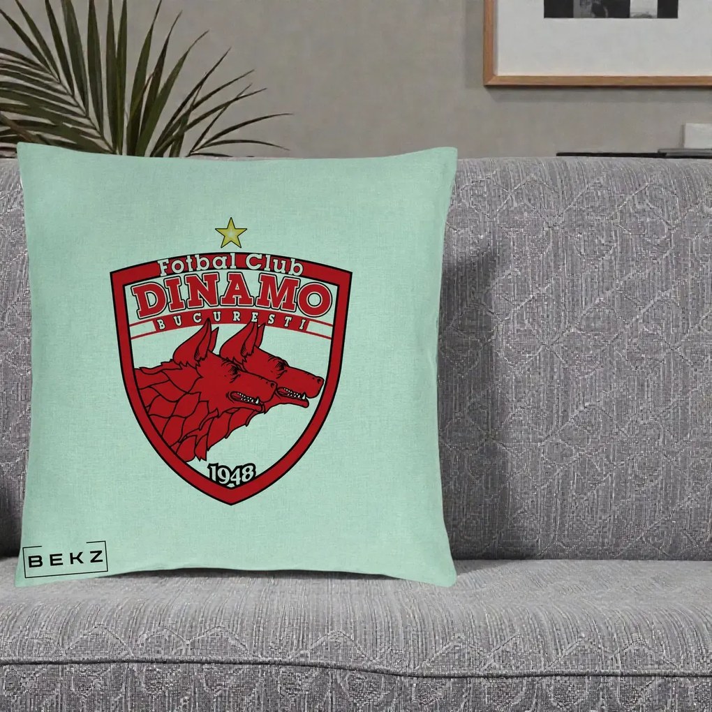 Perna Personalizata FC Dinamo Bucuresti 1948 Fotbal, 40x40 cm, Verde Menta, Husa Detasabila, Perna Inclusa, BEKZ®