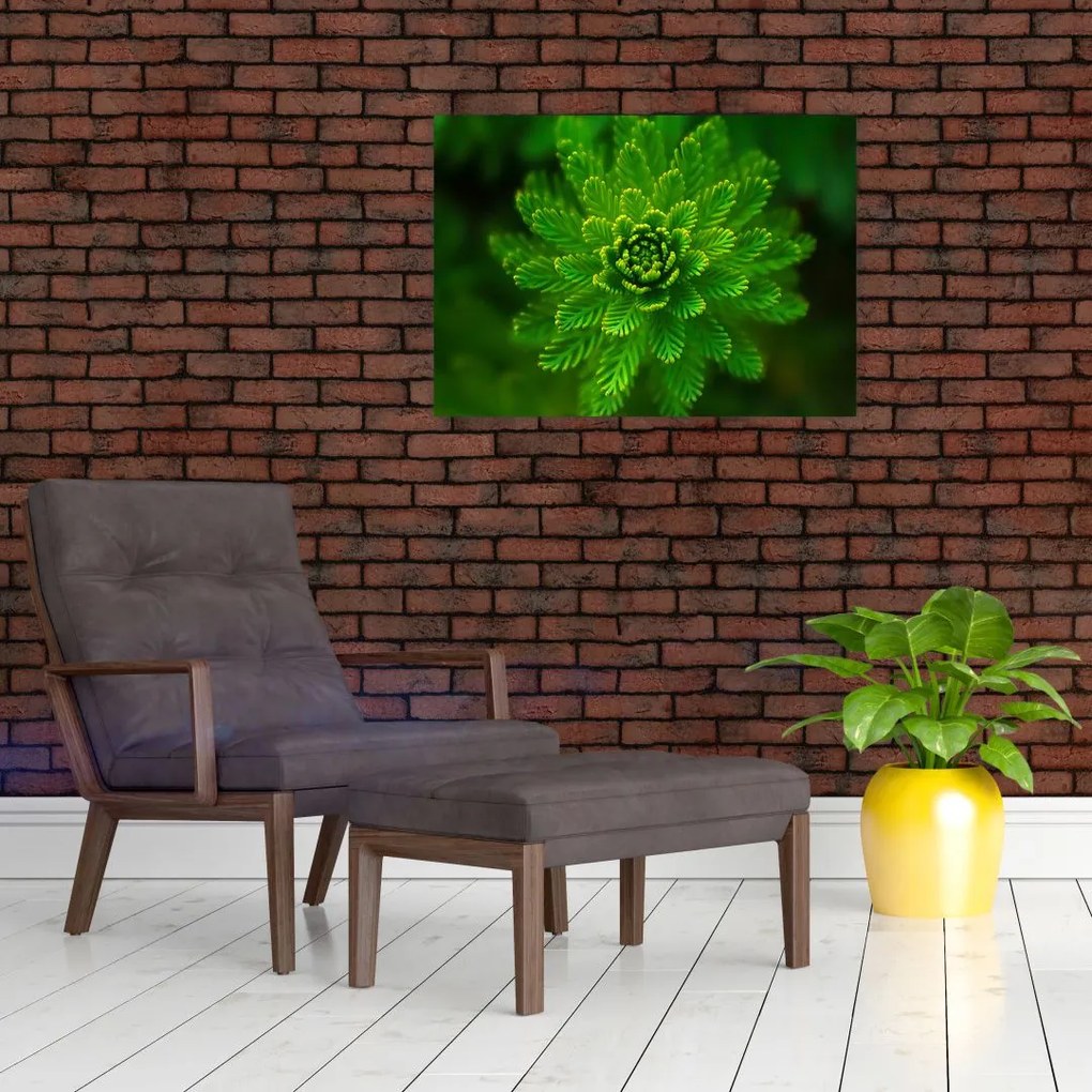 Tablou cu coniferi (70x50 cm)