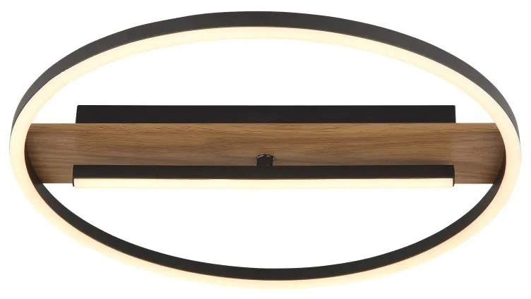 Plafoniera LED moderna PIKARA