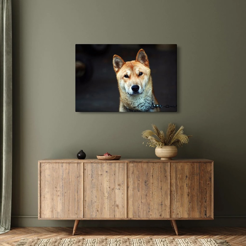 Tablou cu câine (90x60 cm)