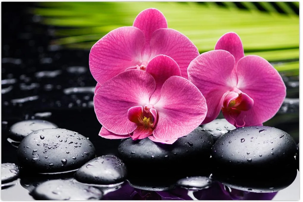 Tablou - Orhidee roz cu frunze de palmier (90x60 cm)