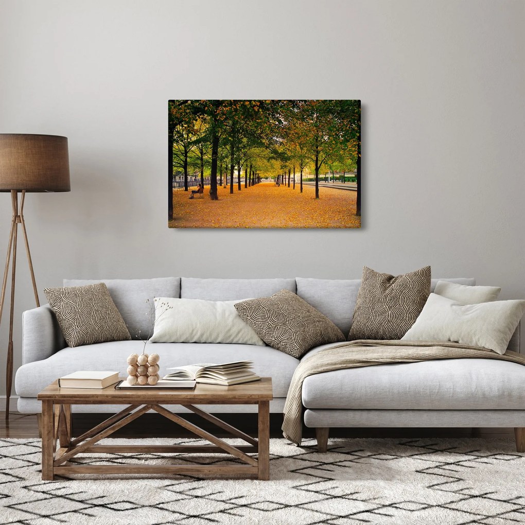 Tablou cu alee cu copaci în toamnă (90x60 cm)