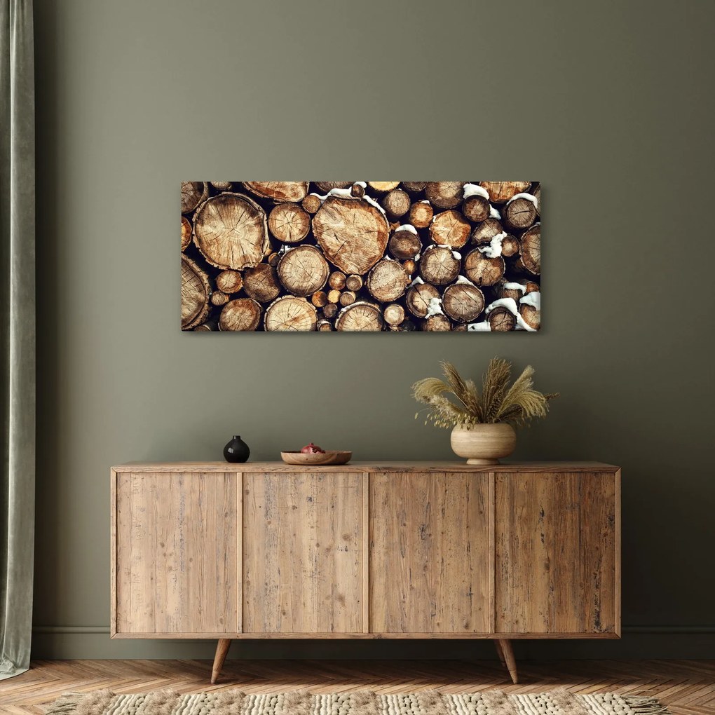 Tablou - Lemn în zăpadă (120x50 cm)
