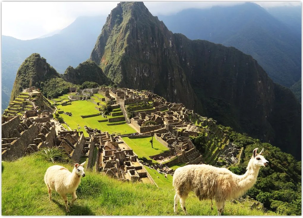 Tablou - Machu Picchu (70x50 cm)