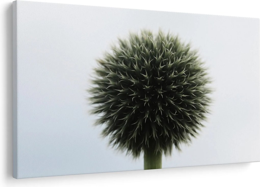 Tablou - Sfere de flori (90x60 cm)