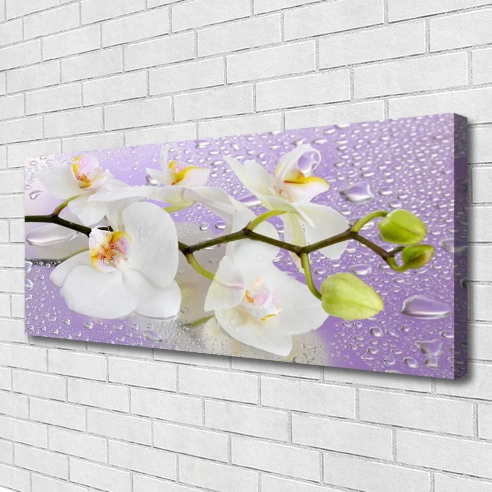 Tablou pe panza canvas Flori Floral alb