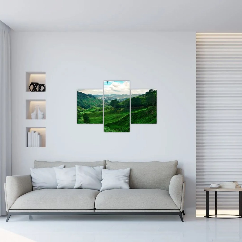 Tablou Plantații de ceai - Malaezia (90x60 cm)