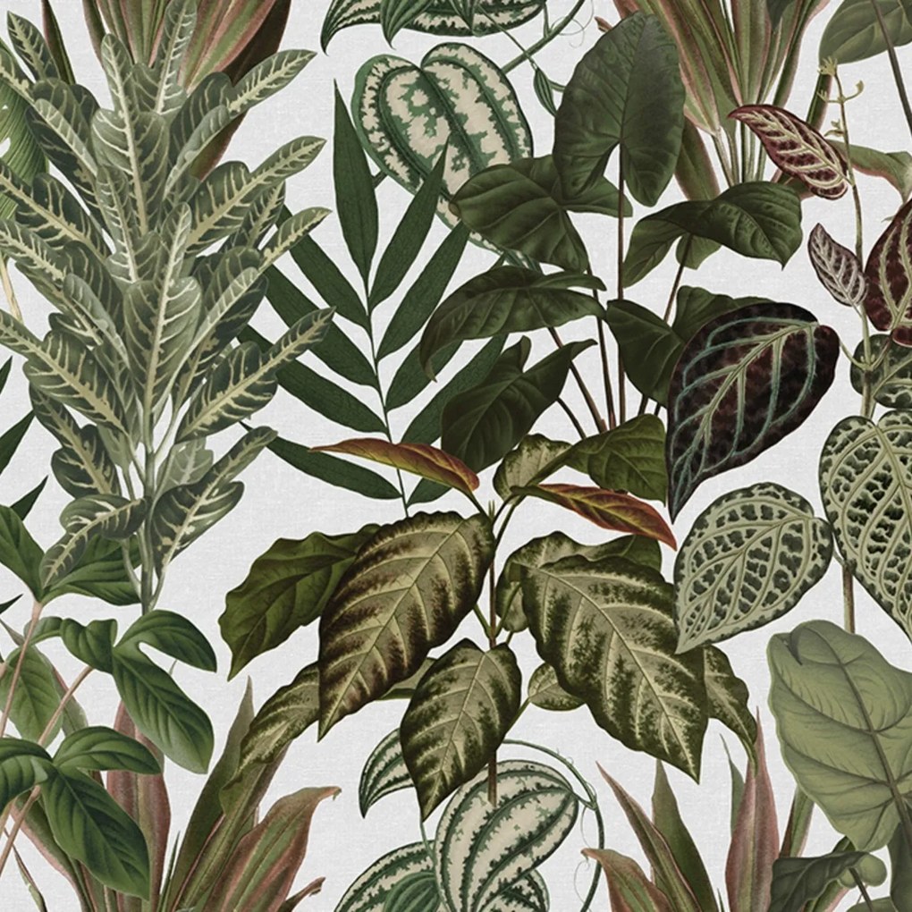 Fototapet, Mischievous Jungle, White, Rebel Walls