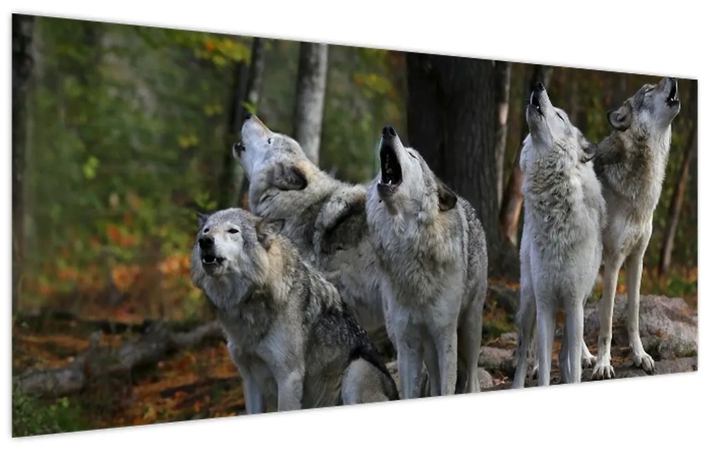 Tablou - Lupii de pe stâncă (120x50 cm)