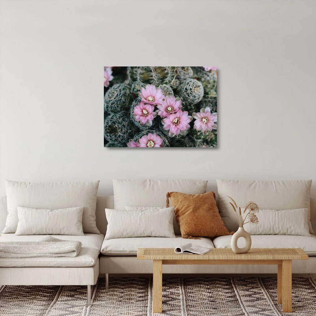 Tablou pe sticlă floare de cactus (70x50 cm)