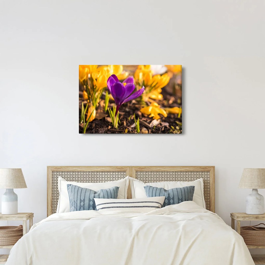 Tablou cu floare violetă (90x60 cm)