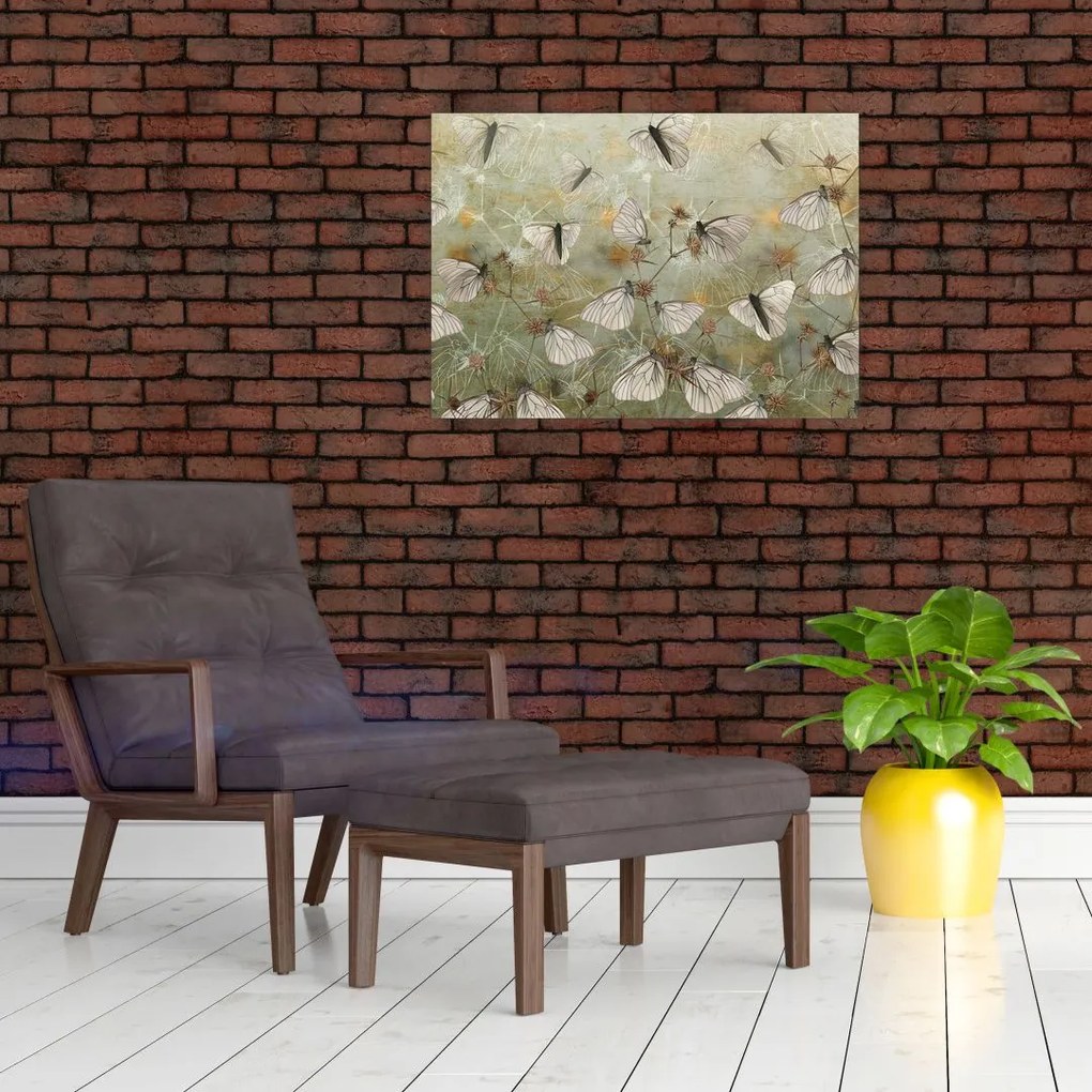 Tablou - Vintege fluturi (70x50 cm)