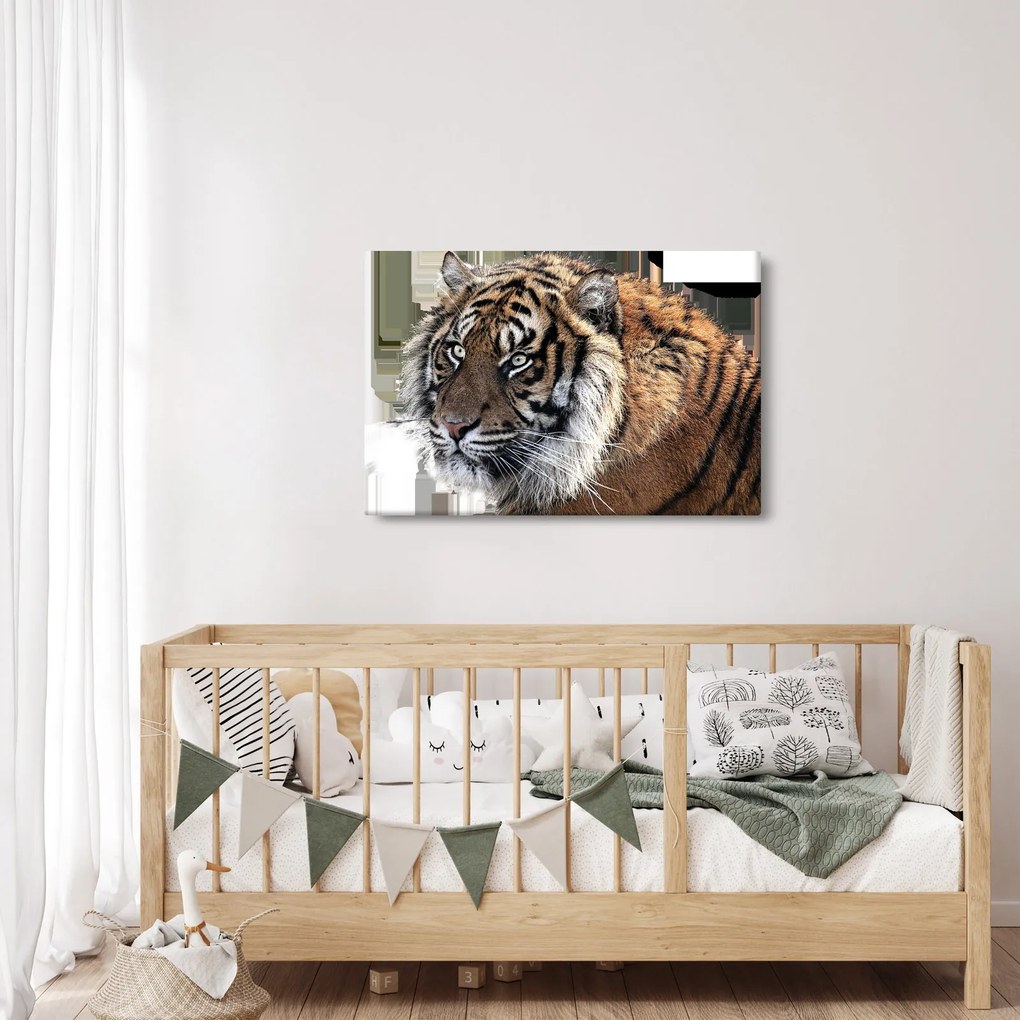 Tablou cu tigrul (90x60 cm)