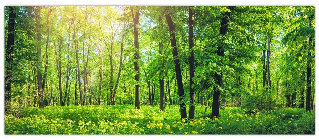 Tablou - Pădurea cu frunze de primăvară (120x50 cm)