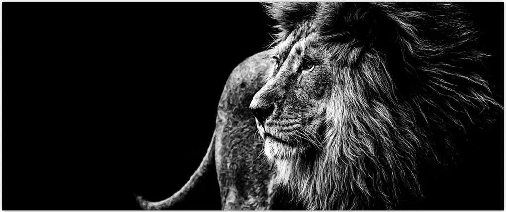 Tablou - Leu (120x50 cm)