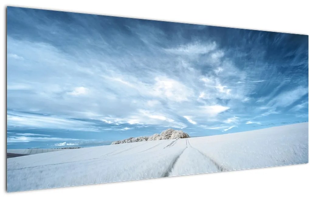 Tablou - Câmp (120x50 cm)