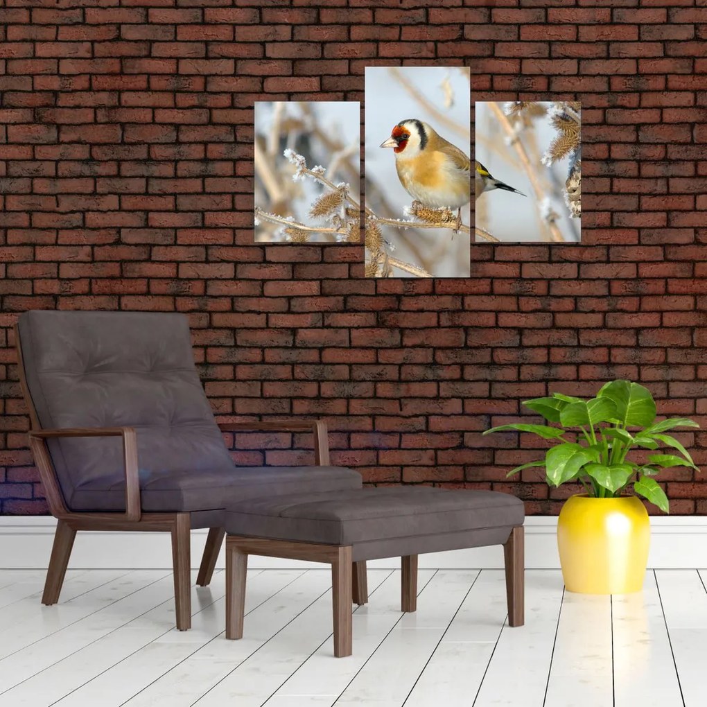 Tablou - Ciredeaua (90x60 cm)