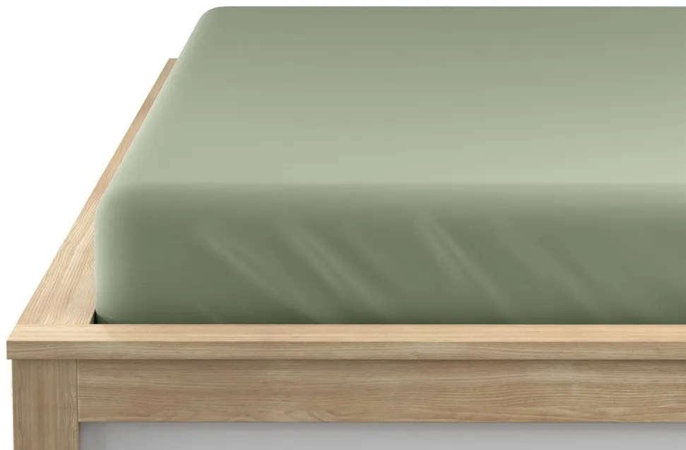 Cearsaf Jersey cu elastic 180 x 200 cm verde deschis