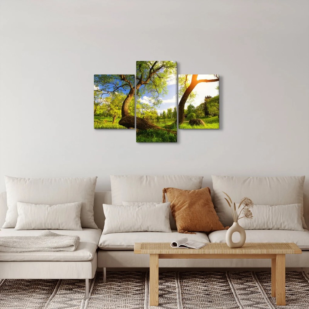 Tablou lunca ne primăvară (90x60 cm)