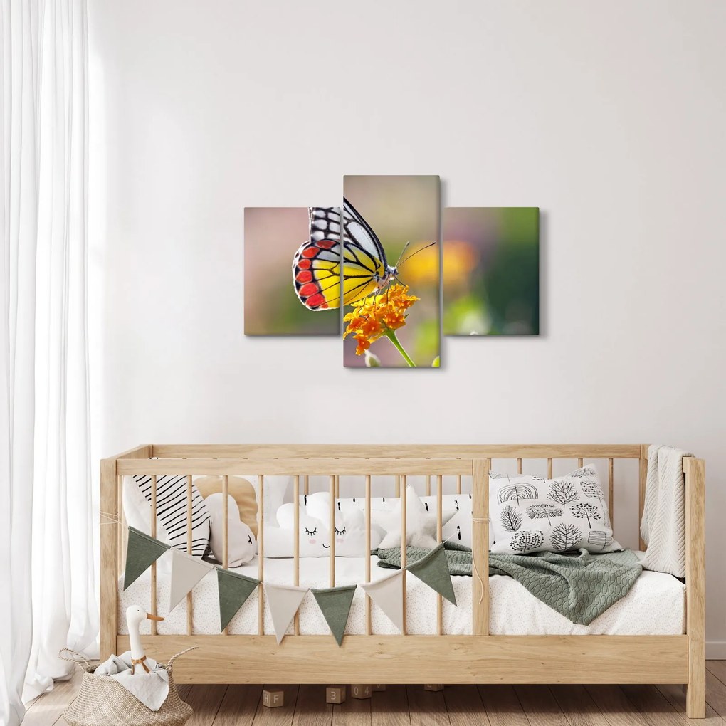 Tablou - Fluture pe floare (90x60 cm)