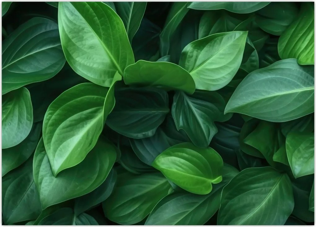 Tablou - Frunze verzi (70x50 cm)