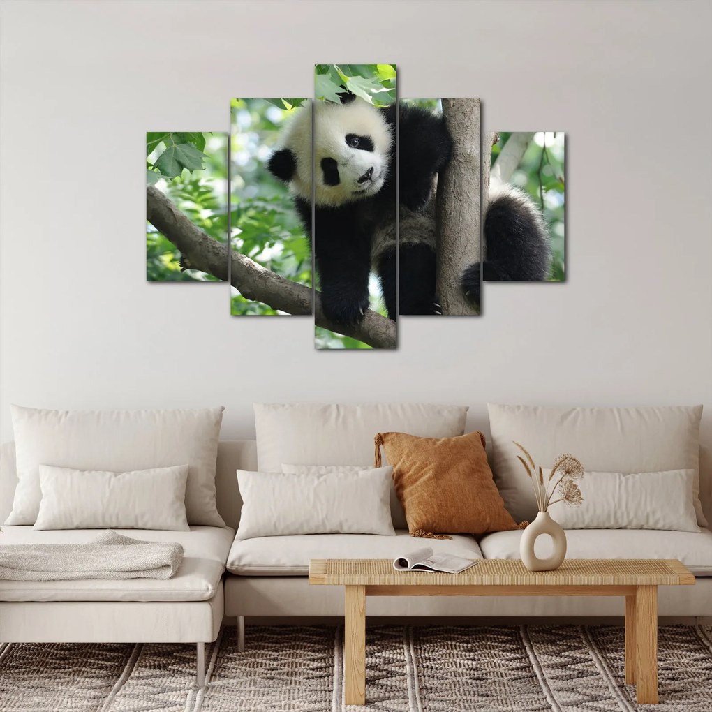 Tablou - Panda in copac (150x105 cm)