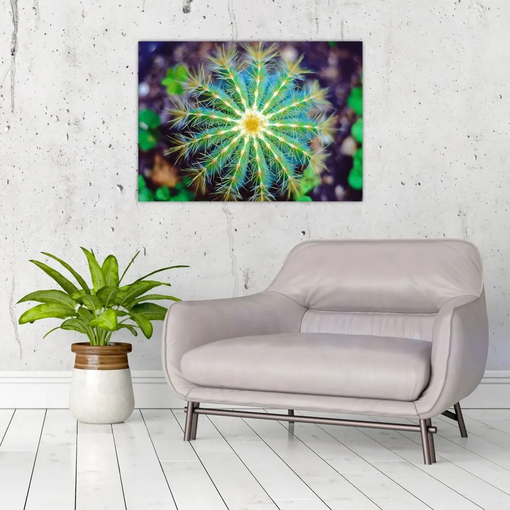 Tablou cu cactus (70x50 cm), în 40 de alte dimensiuni noi