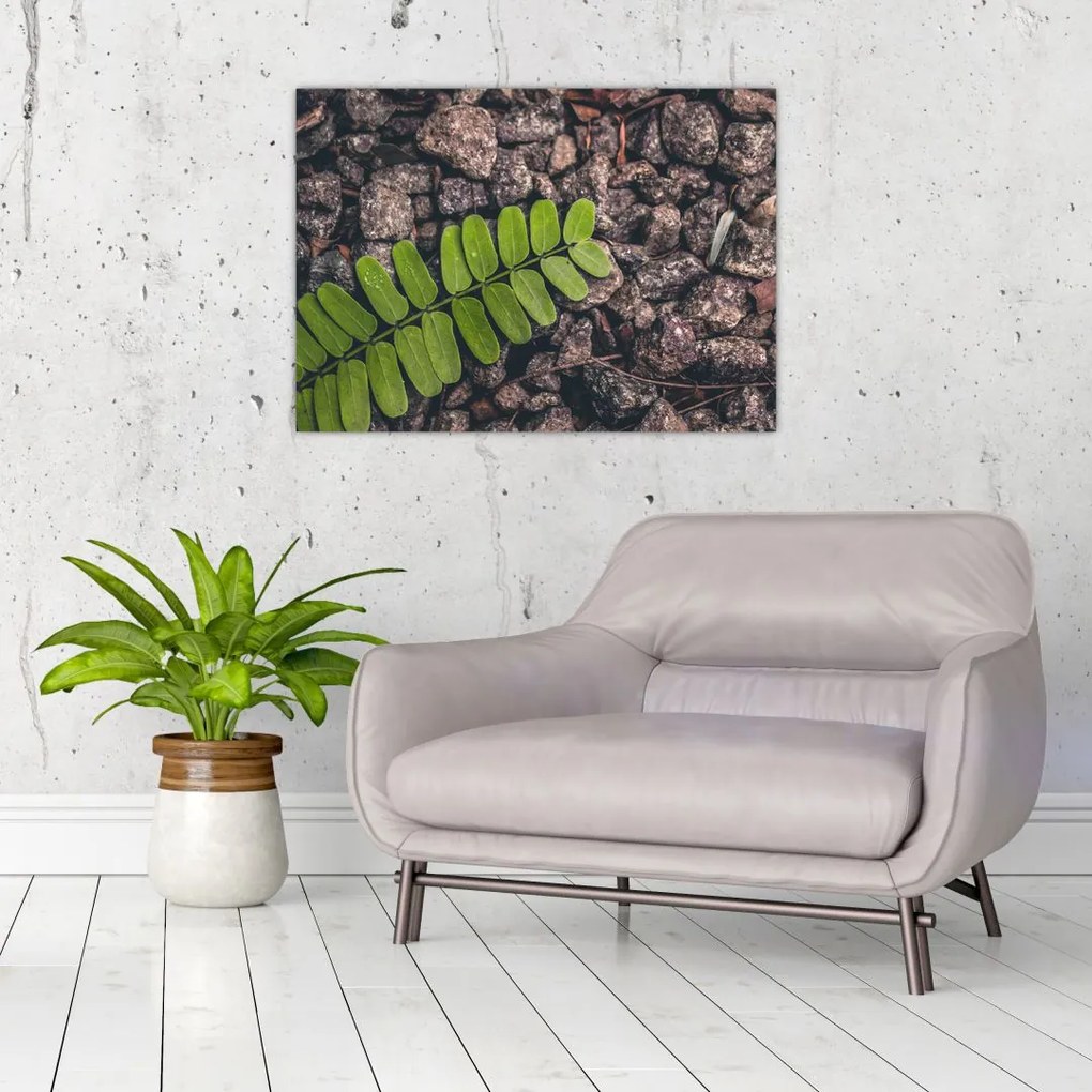 Tablou cu planta verde (70x50 cm)