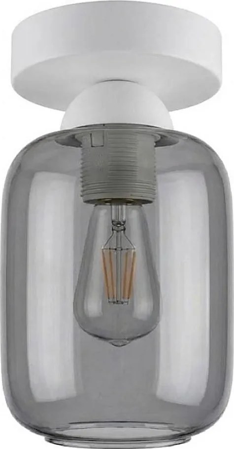 BRILAGI - Lampă LED de tavan R GLASS 1xE27/60W/230V Ø 14 cm alb/gri fumuriu