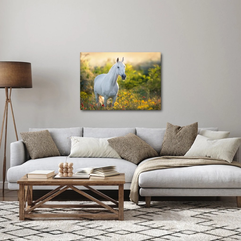 Tablou - Cal alb în poină (70x50 cm)