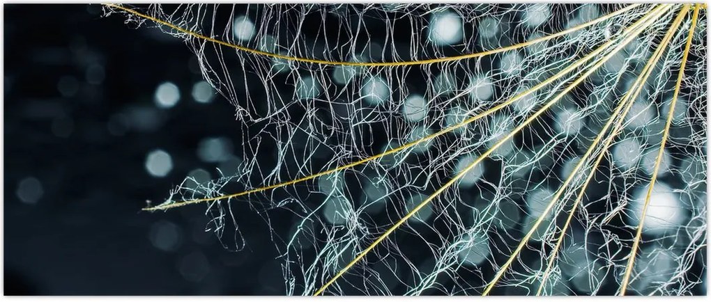 Tablou - Floare cu pânză de pâianjen (120x50 cm)