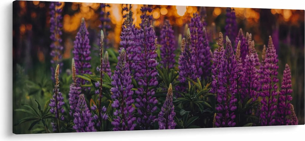 Tablou - Flori de lupin (120x50 cm)