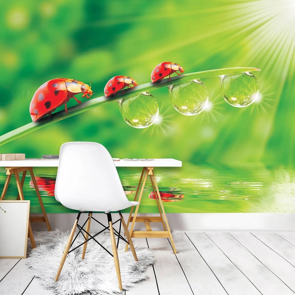 Fototapet - Flori (152,5x104 cm)