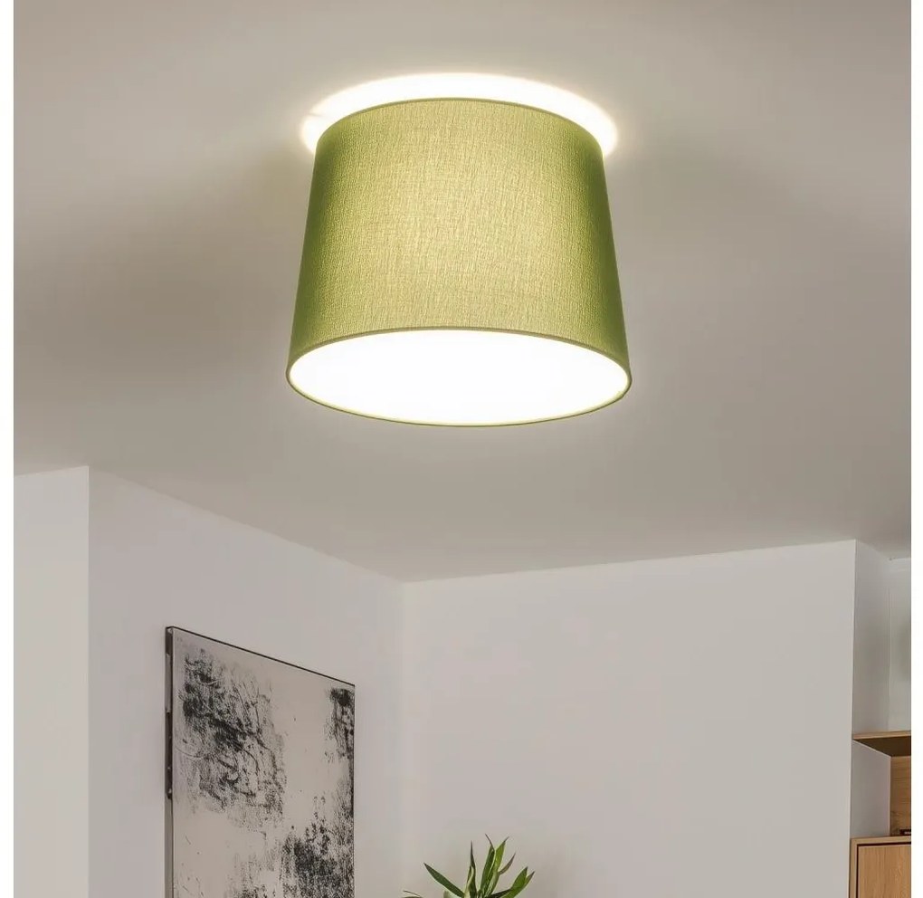 Brilagi - Plafonieră LED aplicată CERIA 1xE27/40W/230V, Ø 30 cm, verde