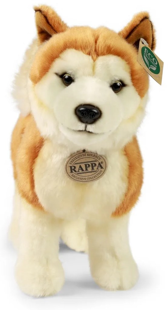 Rappa Câine de pluș Akita Inu 30 cm