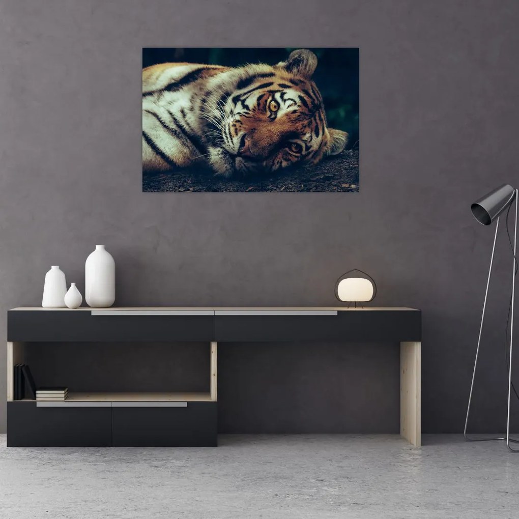 Tablou - Tigrul Siberian (90x60 cm)