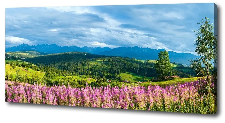 Tablouri tipărite pe pânză Lavanda în munți
