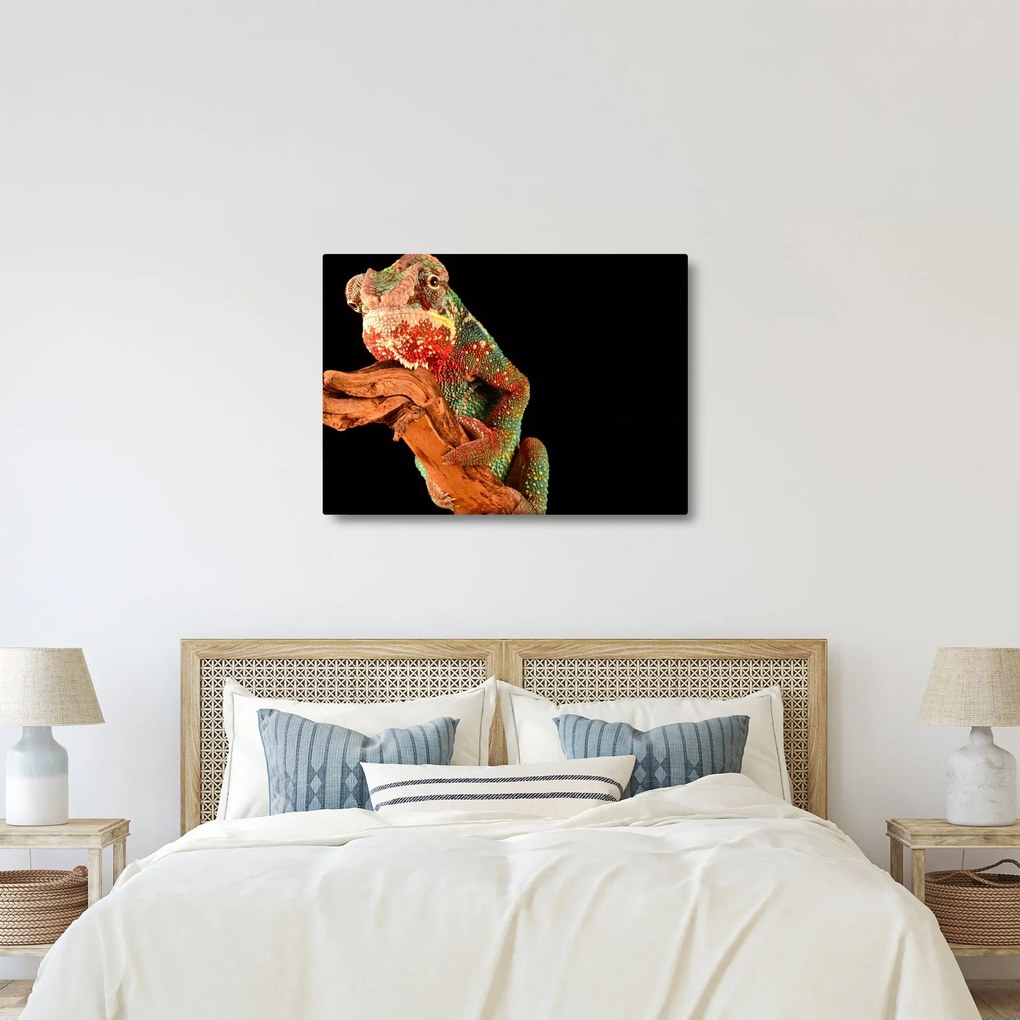 Tablou cu cameleon pe creangă (70x50 cm)