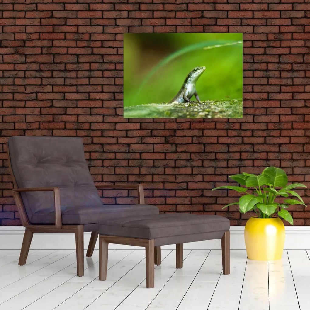 Tablou cu șopârlă (70x50 cm)