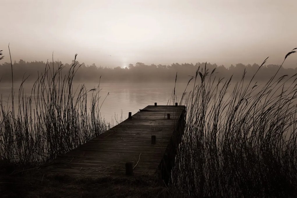 Tapet Misty Lake, Rebel Walls