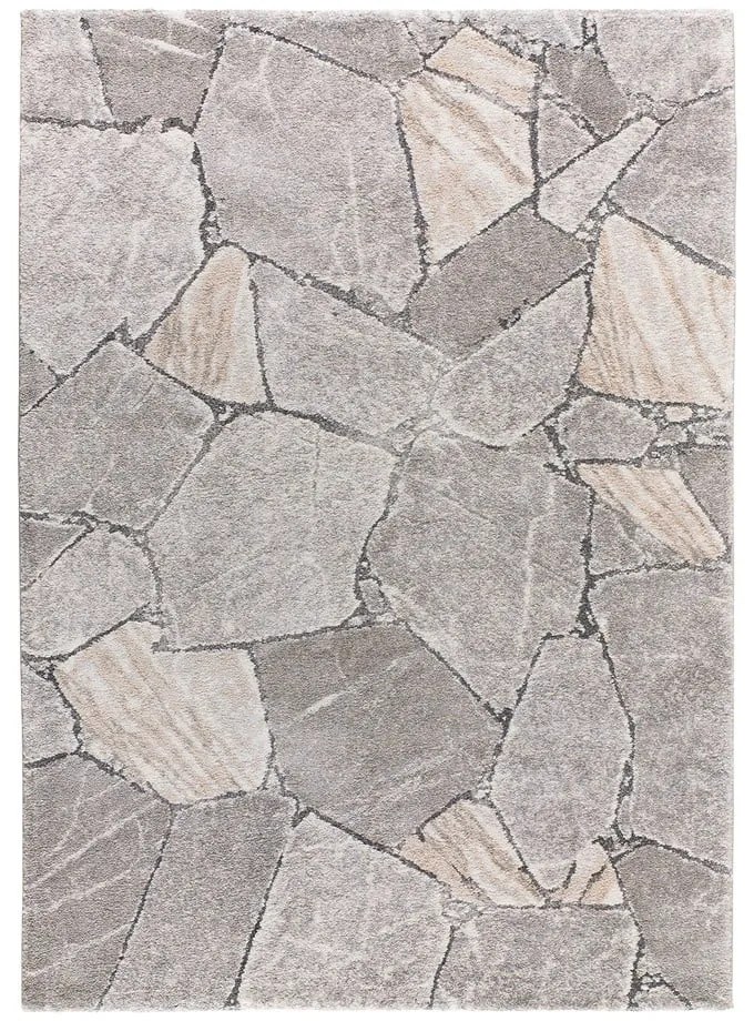 Covor gri 160x230 cm Kivet – Universal