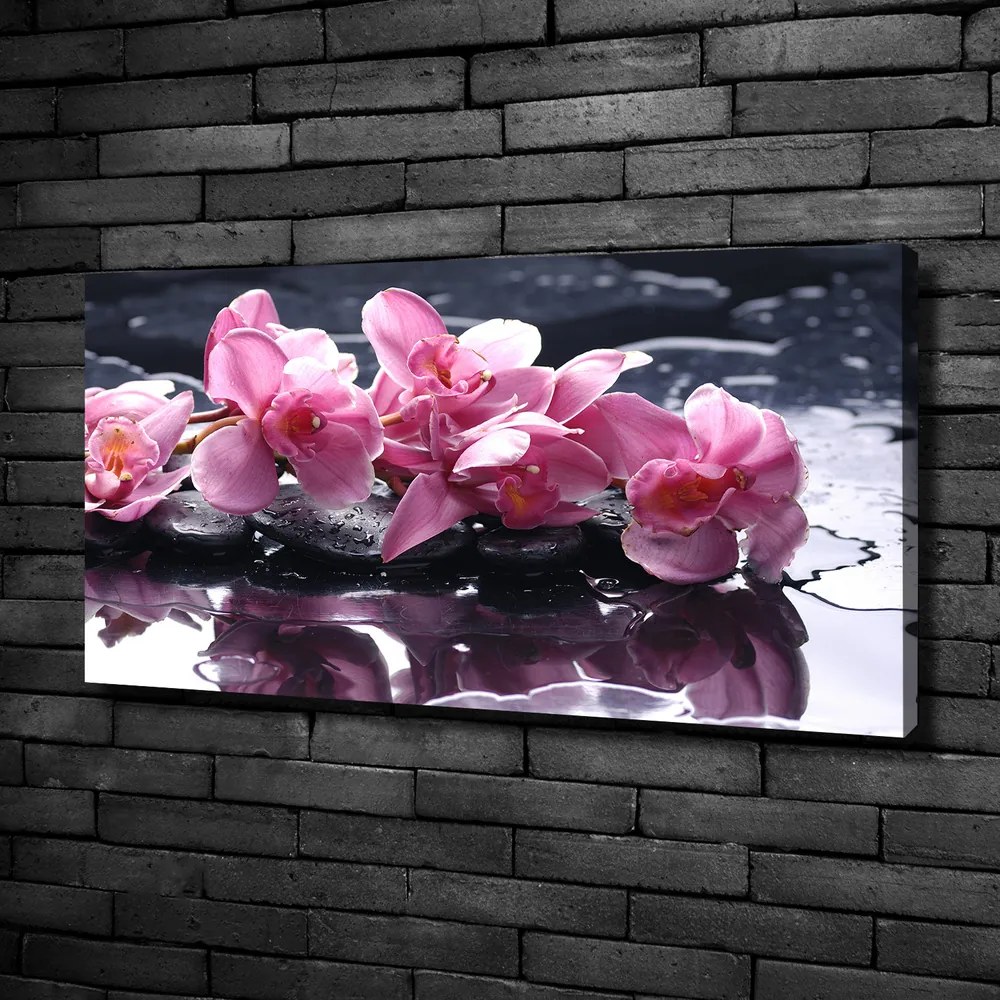 Tablou pe pânză canvas Orhidee roz
