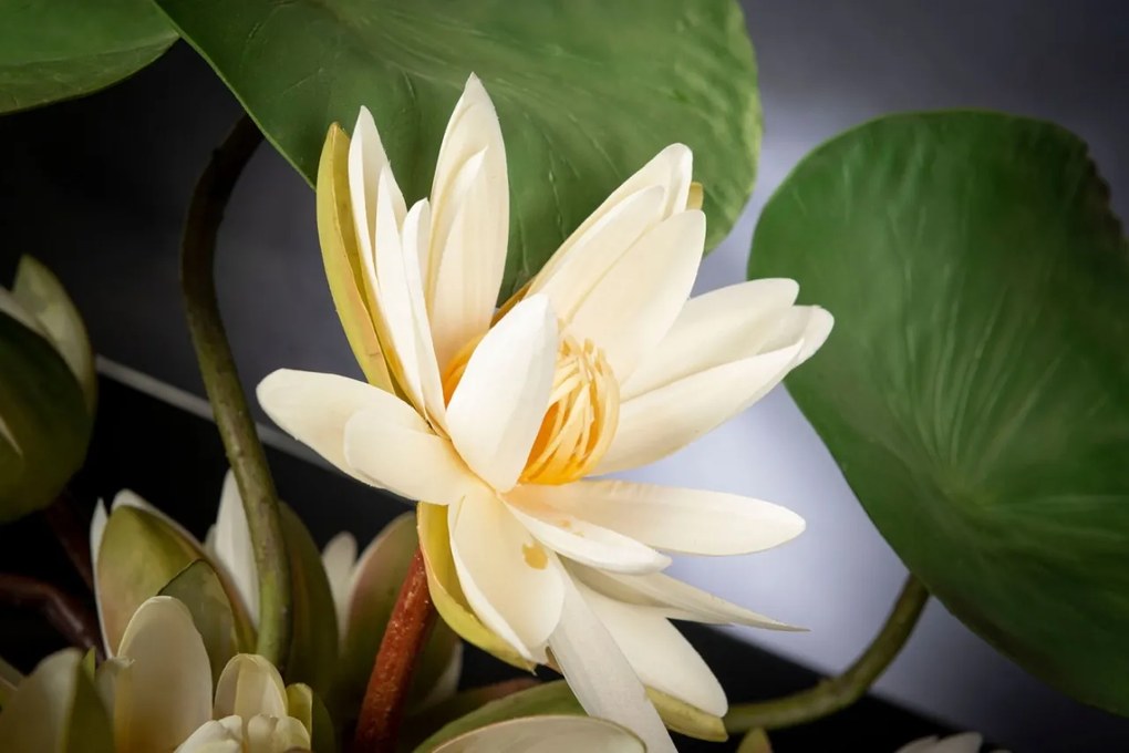 Aranjament floral mediu design LUX LOTUS FLOWERS