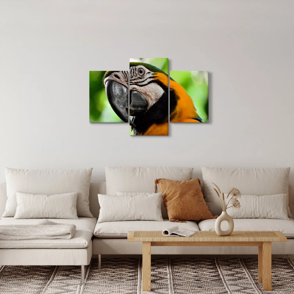Tablou cu papagal (90x60 cm)