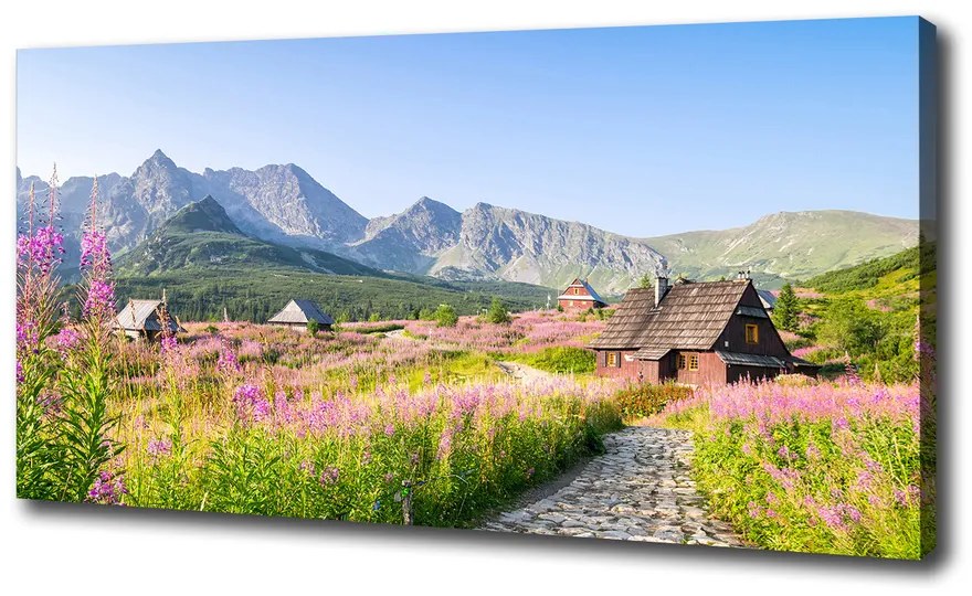 Tablouri tipărite pe pânză Cabanelor în munți