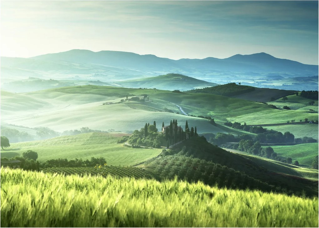 Tablou - Toscana, Italia (70x50 cm)