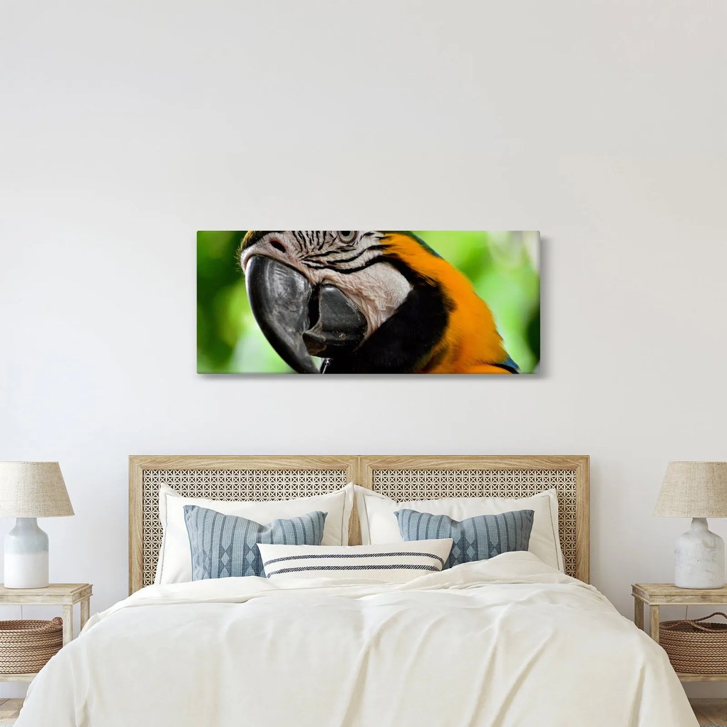 Tablou cu papagal (120x50 cm)