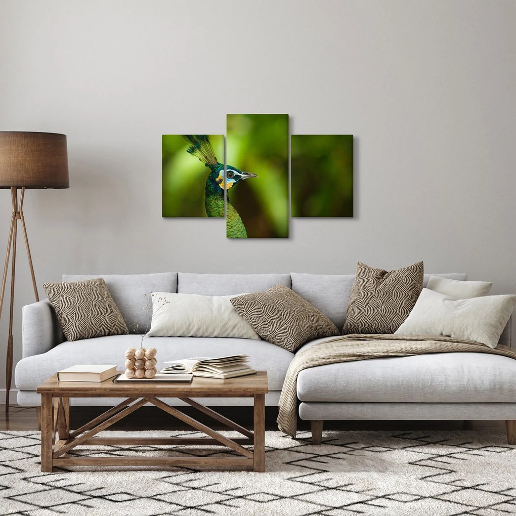 Tablou cu păun (90x60 cm)