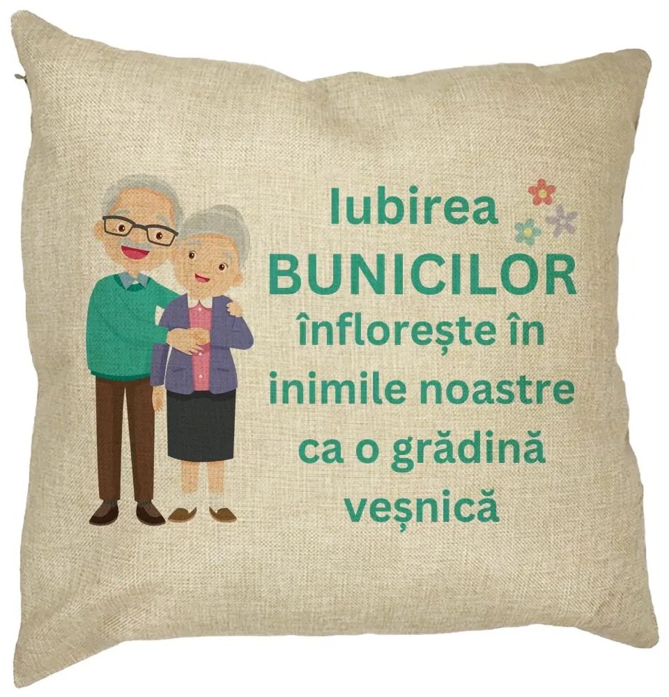 Perna Decorativa pentru Bunici 5, 40x40 cm, Husa Detasabila, Burduf