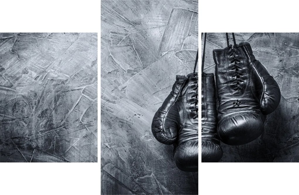 Tablou - Mănuși de box (90x60 cm)